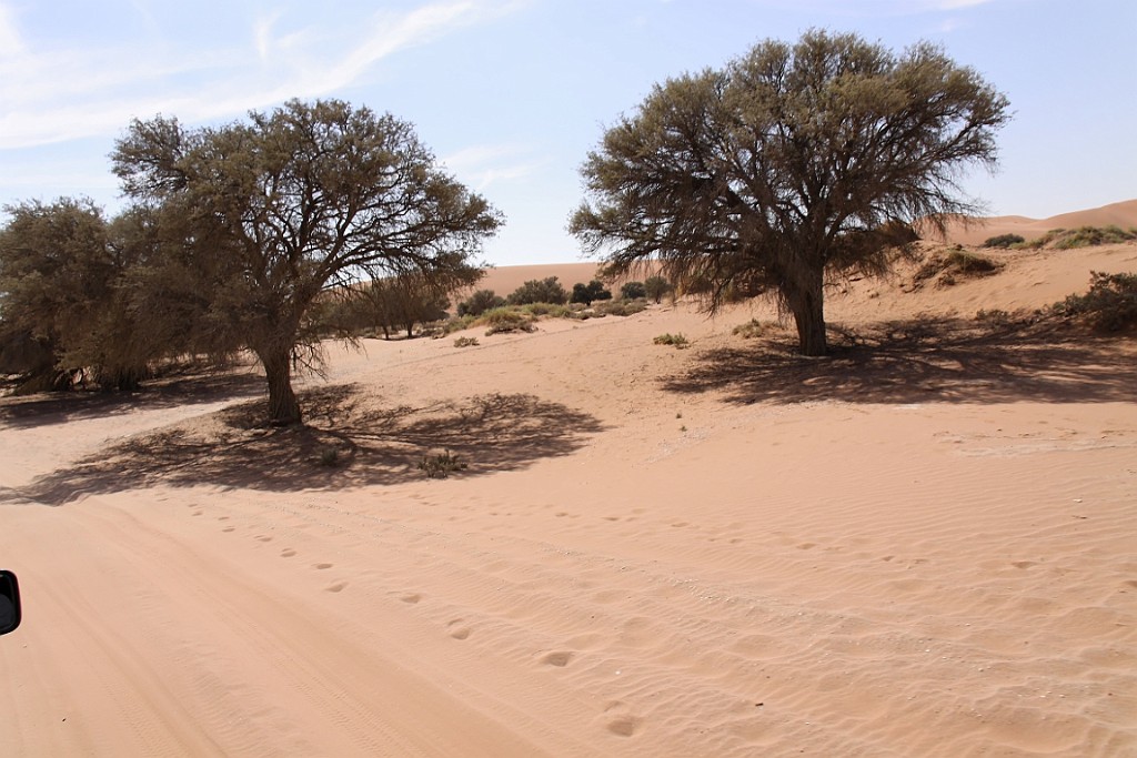 Namibie665.jpg