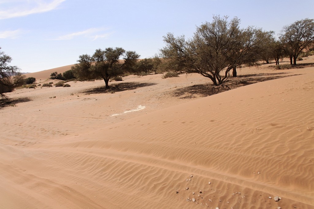 Namibie666.jpg