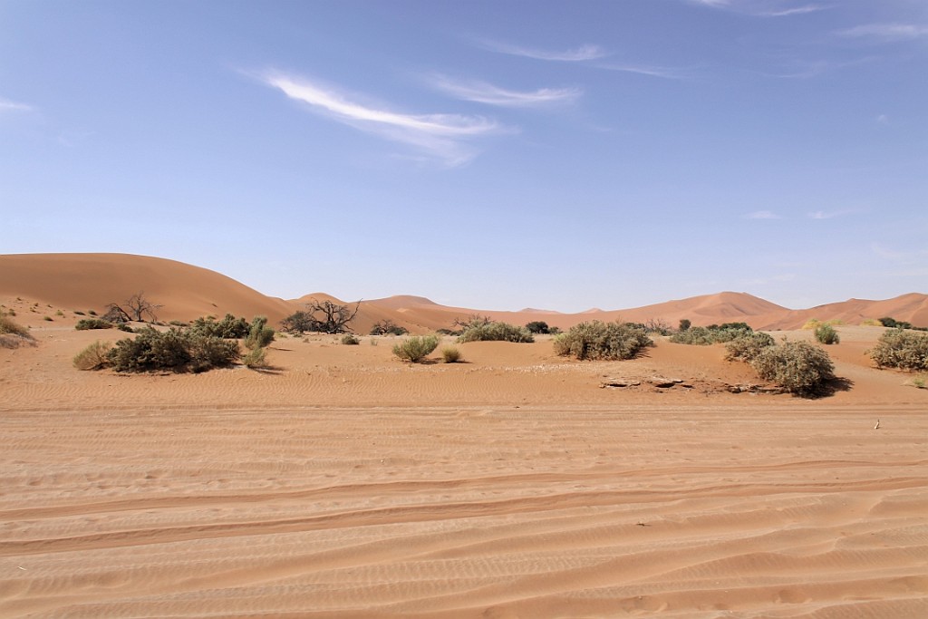 Namibie667.jpg