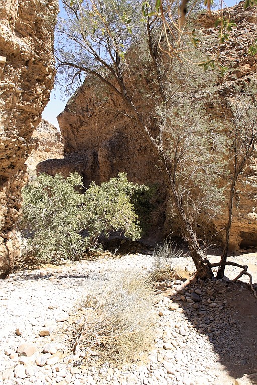 Namibie683.jpg