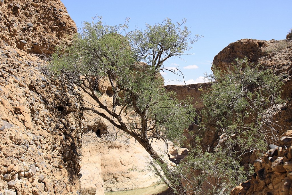 Namibie686.jpg