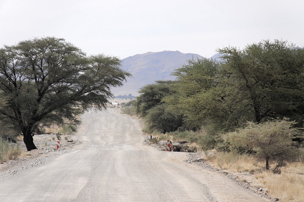 Namibie699.jpg