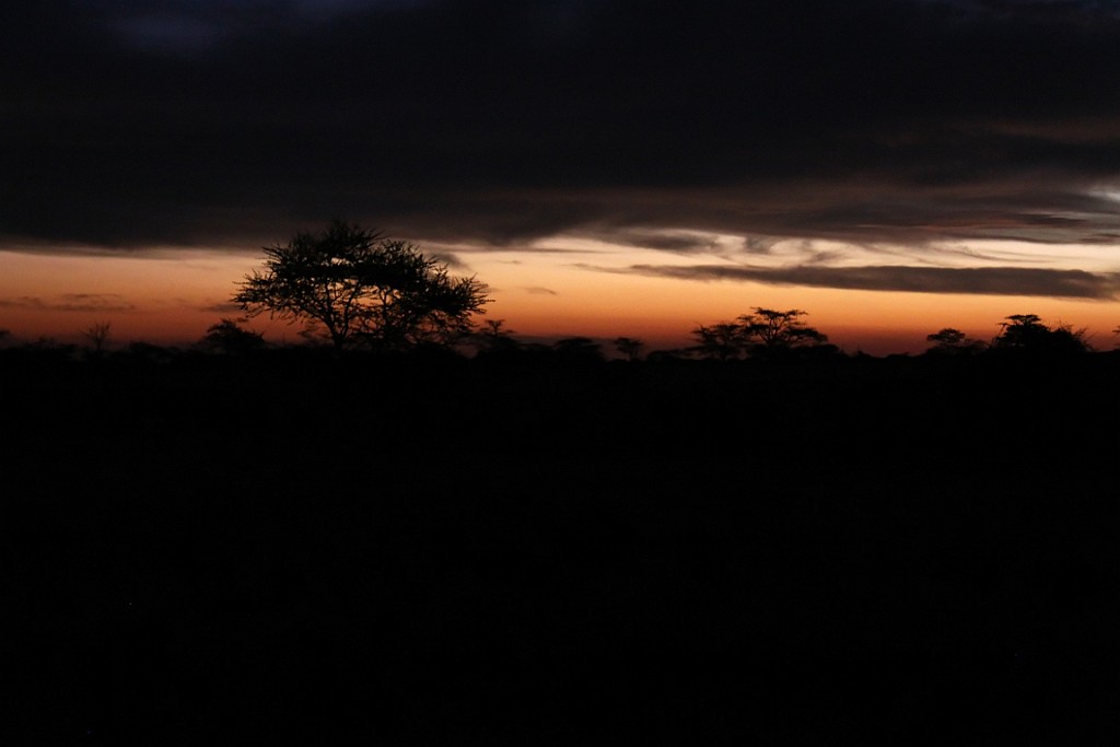 Namibie701.jpg