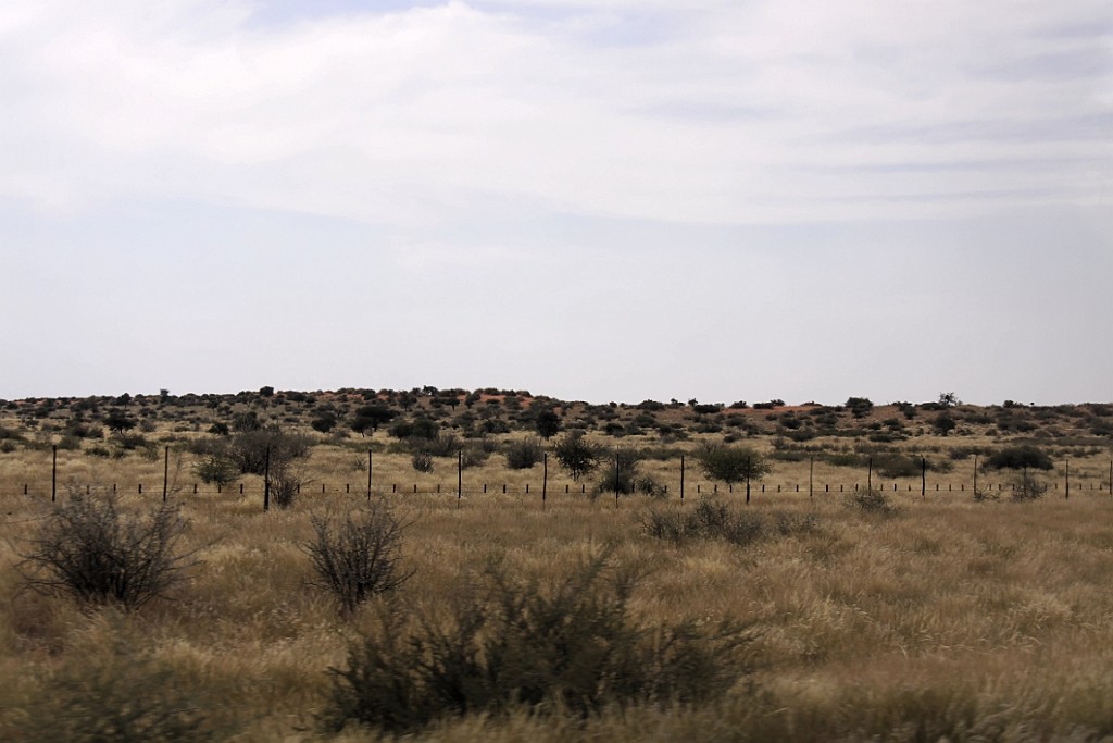 Namibie723.jpg