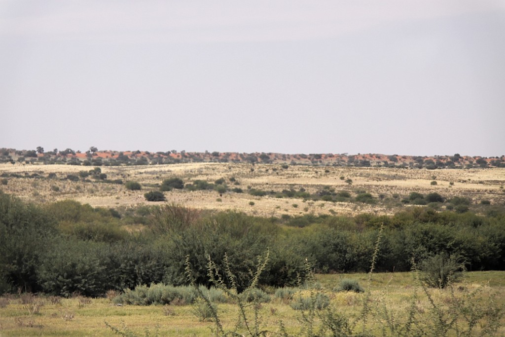 Namibie724.jpg