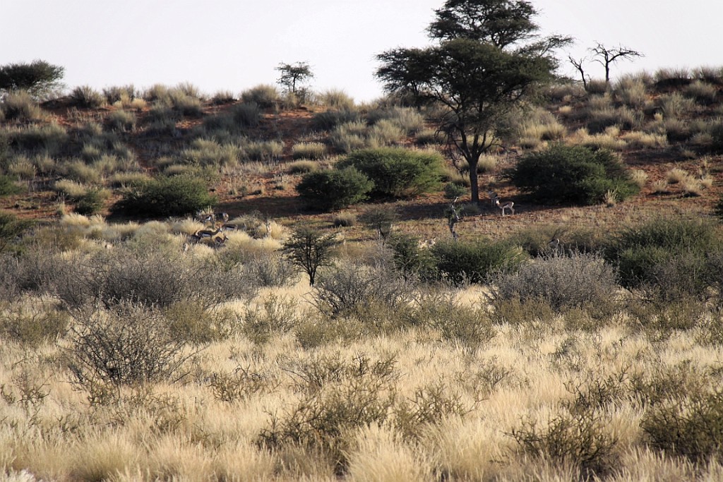 Namibie740.jpg