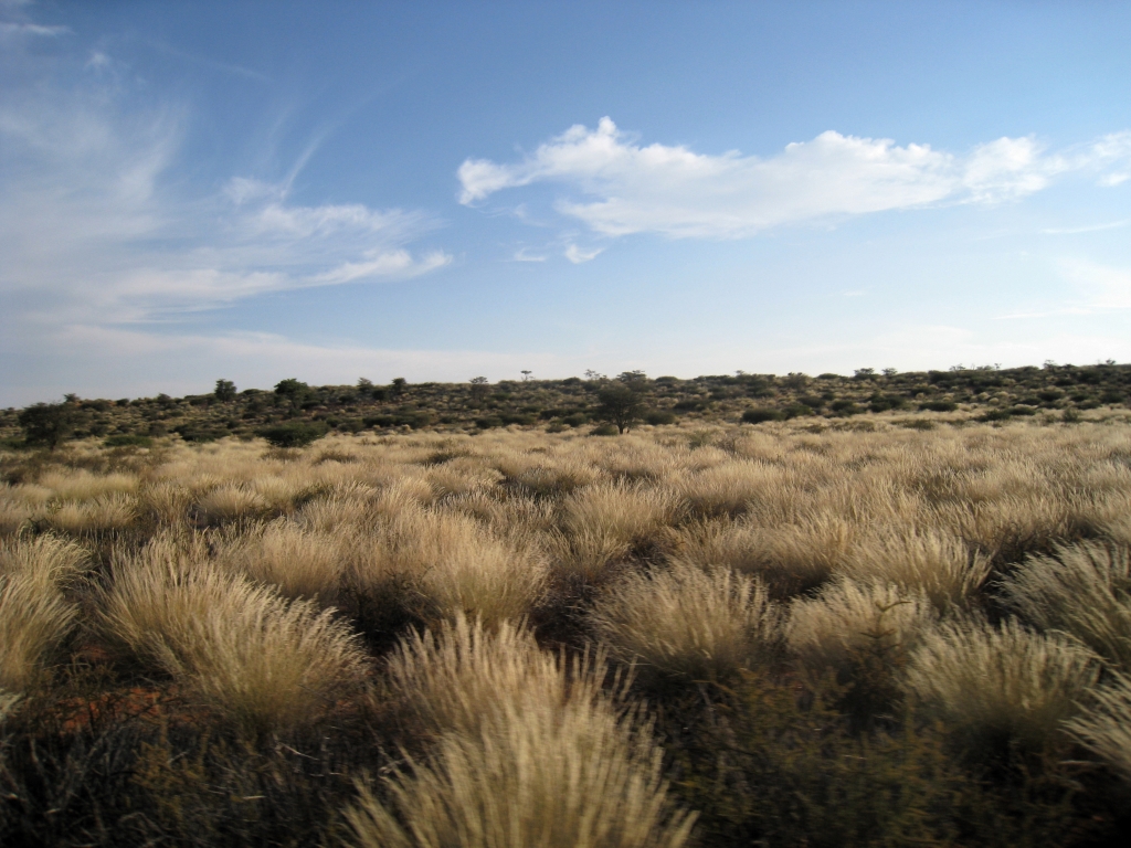 Namibie745.jpg