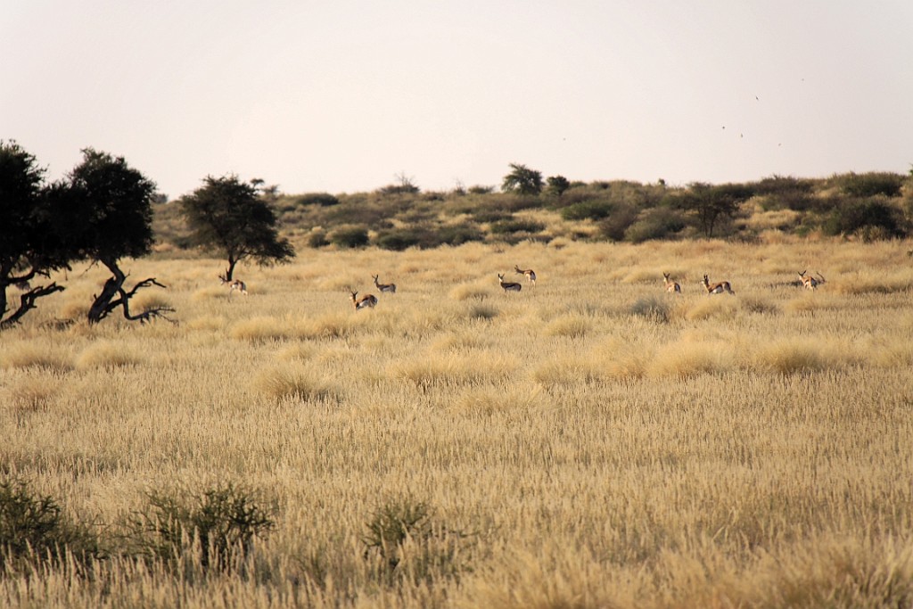 Namibie750.jpg