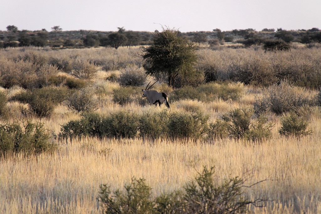Namibie754.jpg