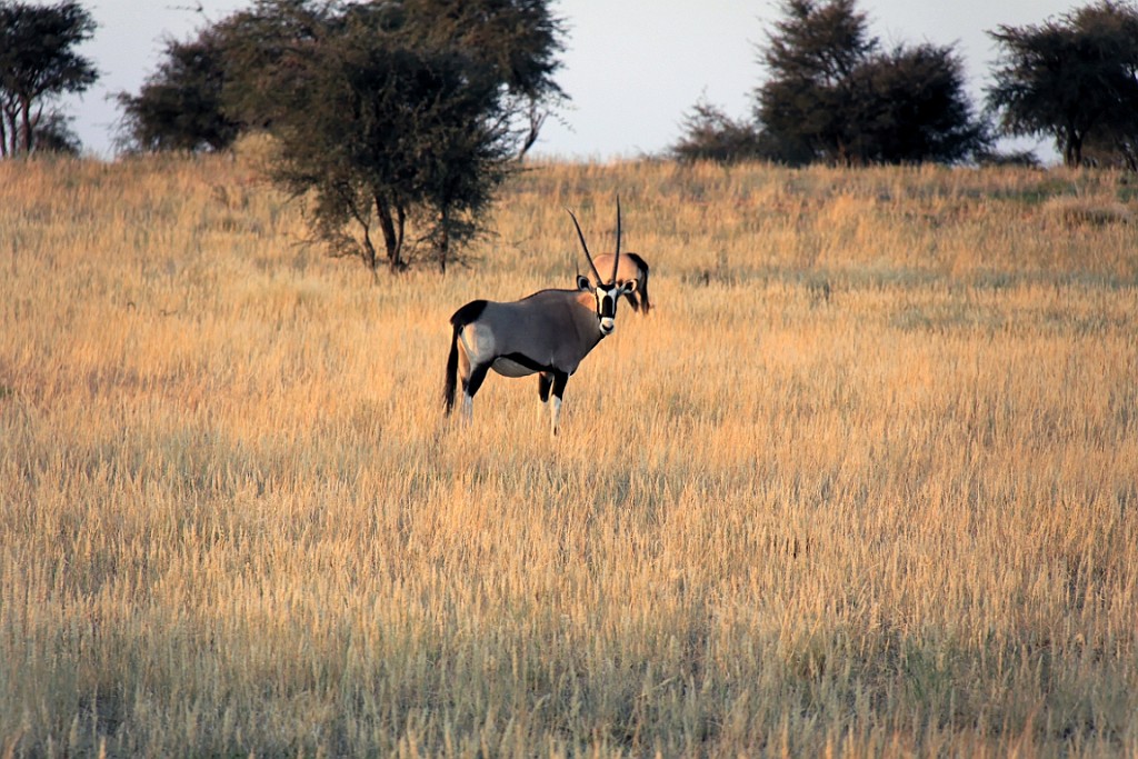 Namibie762.jpg