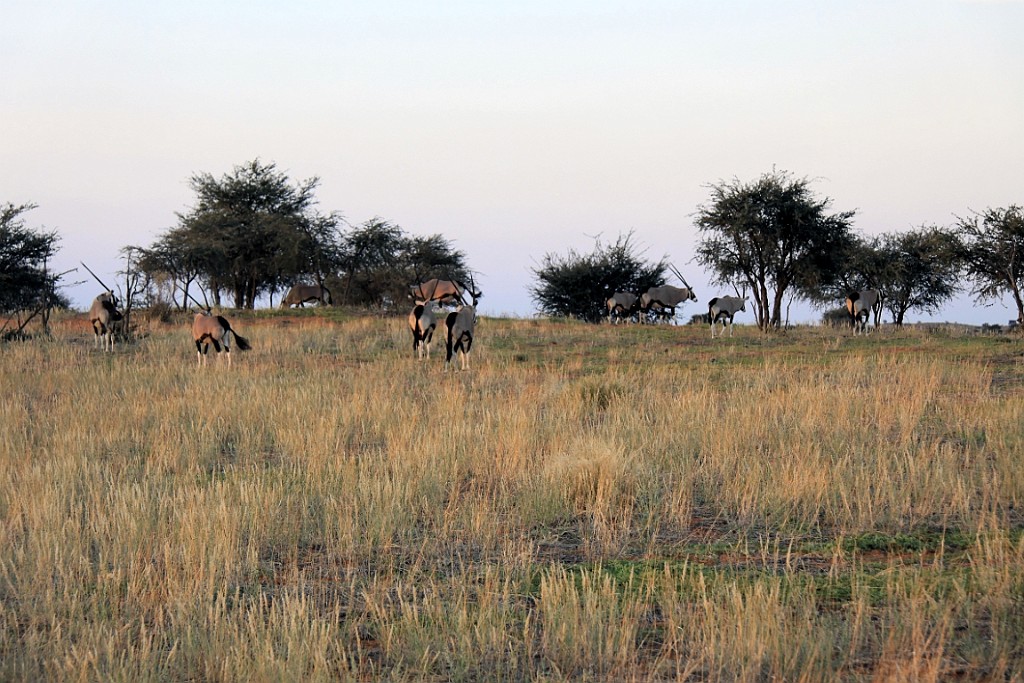 Namibie765.jpg