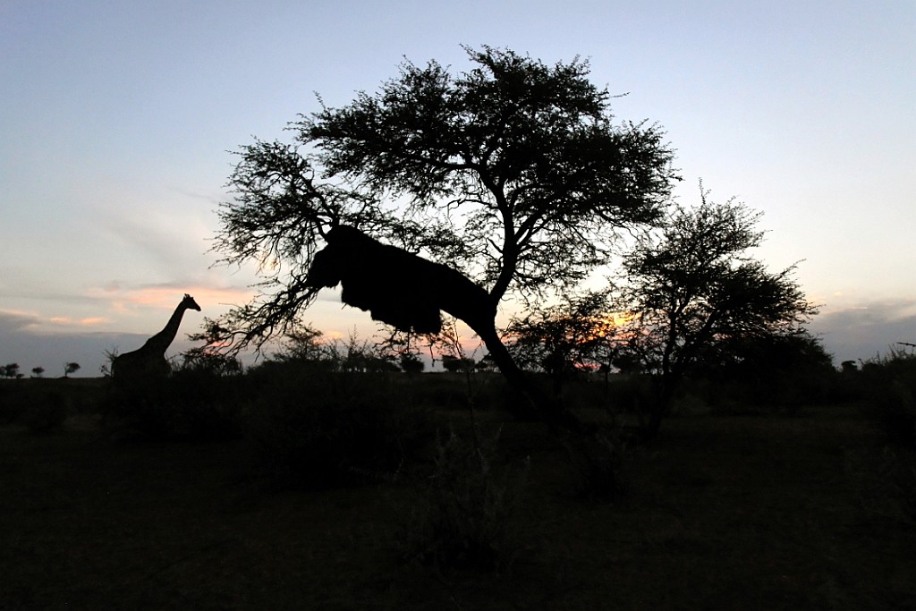 Namibie776.jpg