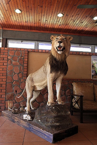 Namibie064
