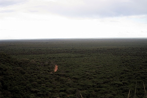 Namibie088