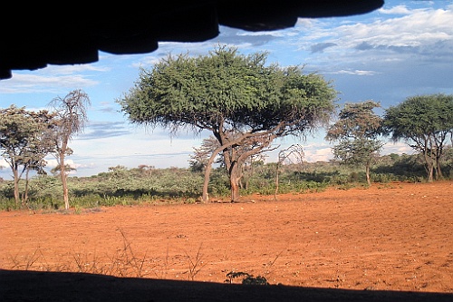 Namibie091