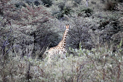 Namibie094