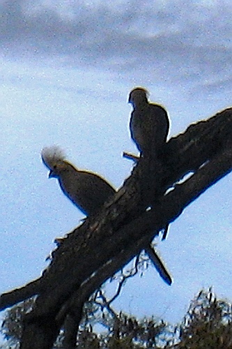 Namibie103