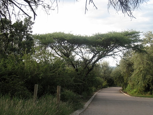 Namibie104