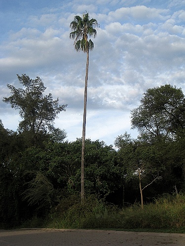 Namibie105