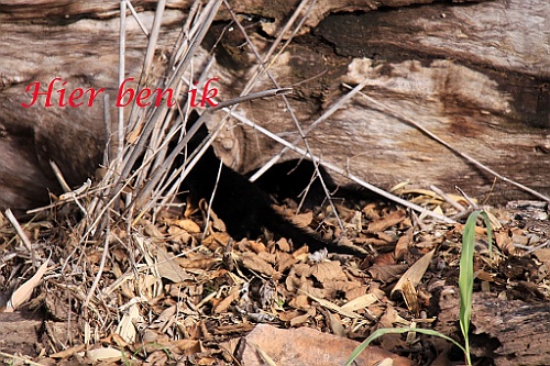 Namibie107