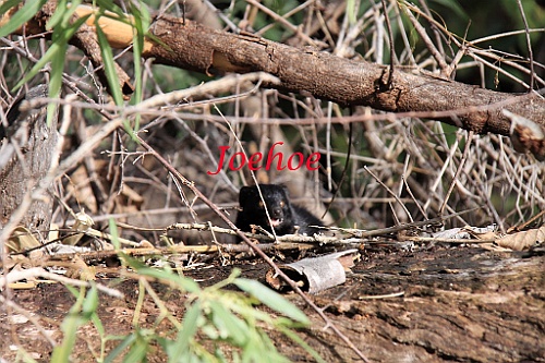 Namibie108