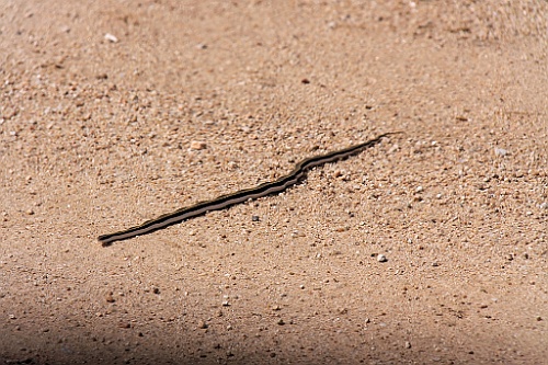 Namibie112