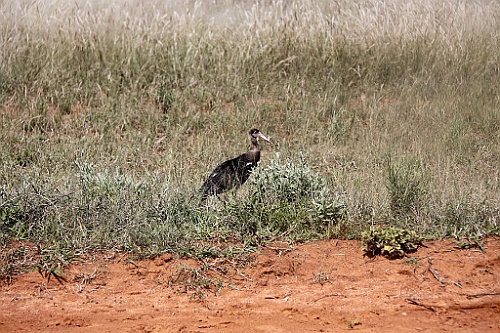 Namibie114