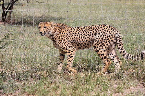 Namibie128