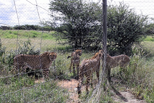 Namibie130