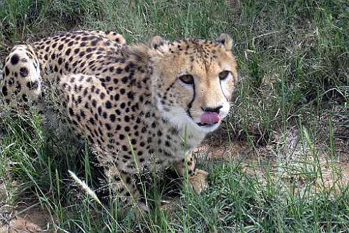 Namibie131