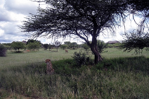 Namibie133