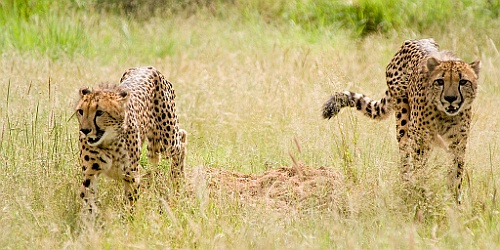 Namibie138