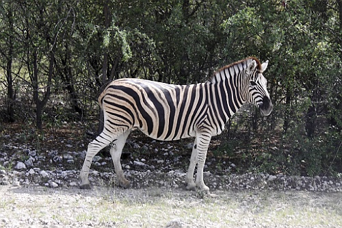 Namibie189