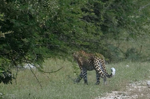 Namibie191