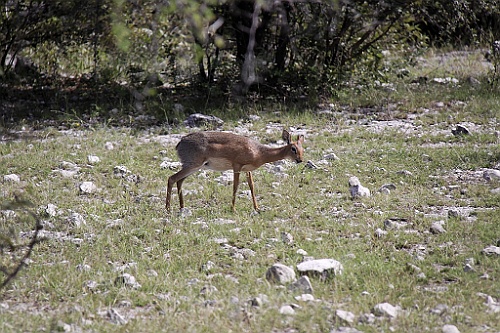 Namibie192
