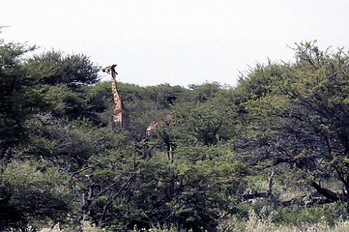 Namibie193