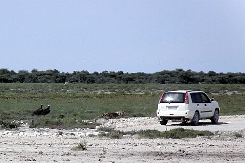 Namibie196