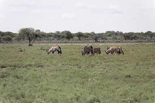 Namibie203