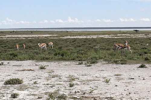 Namibie208