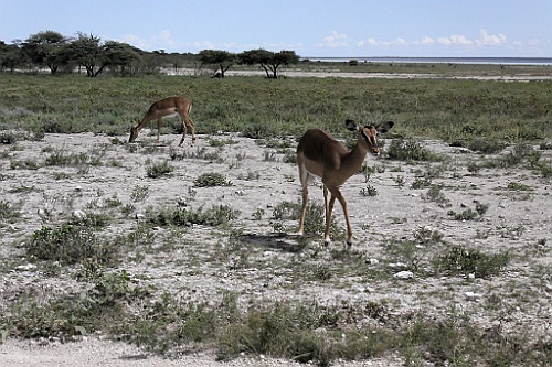 Namibie209