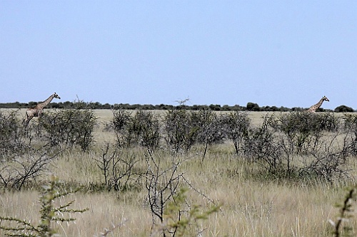 Namibie217