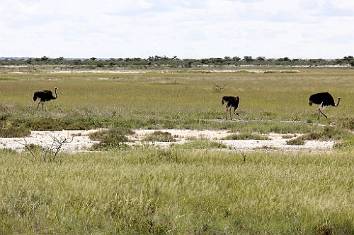 Namibie218