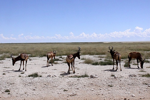 Namibie223