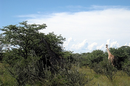 Namibie226