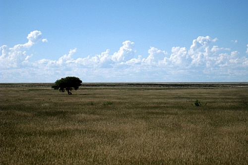 Namibie230