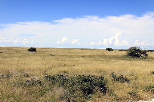Namibie232