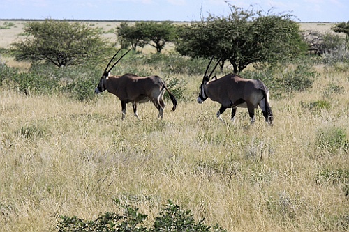 Namibie233