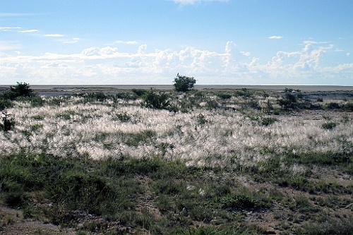 Namibie238