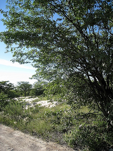 Namibie239
