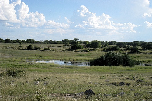 Namibie240
